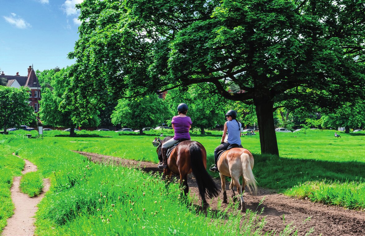 Horse riders following a tree-lined trail on Wimbledon Common